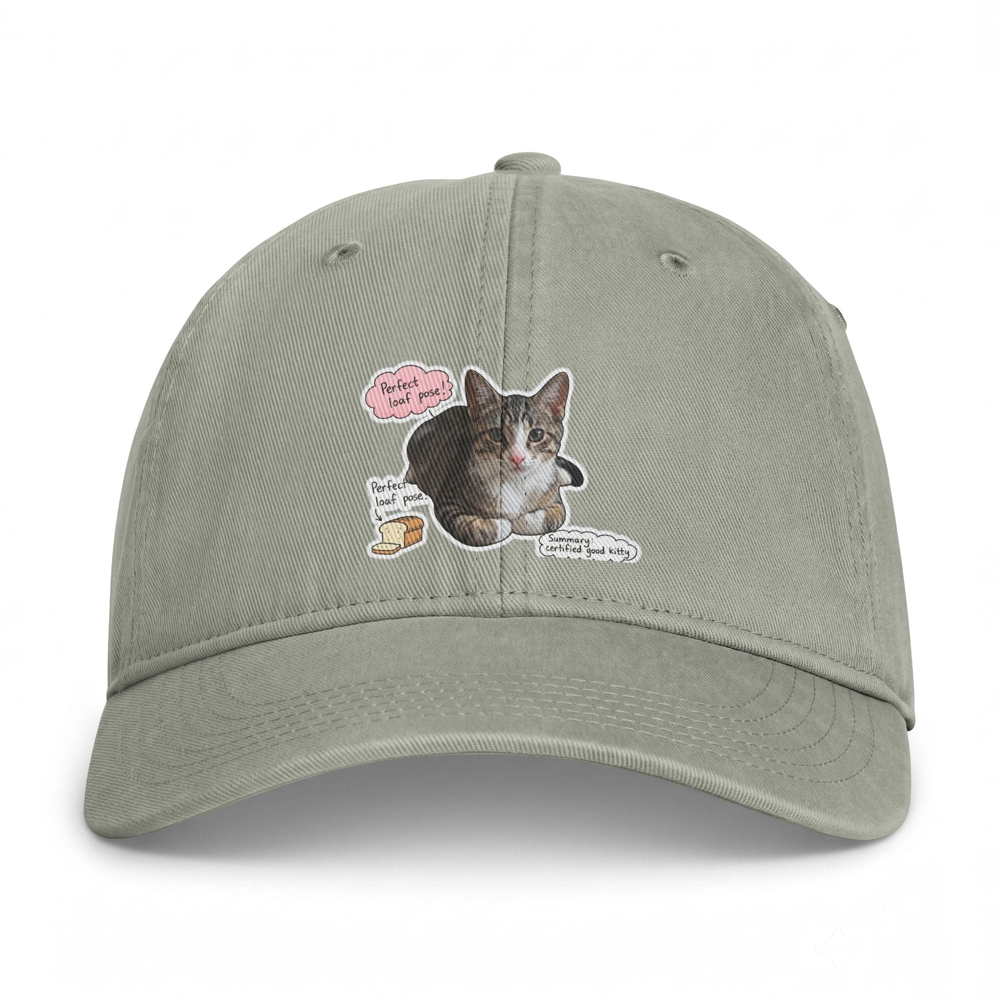 Cat Sticker Patch Cap — "Meow Means Meow" Washed Baseball Hat