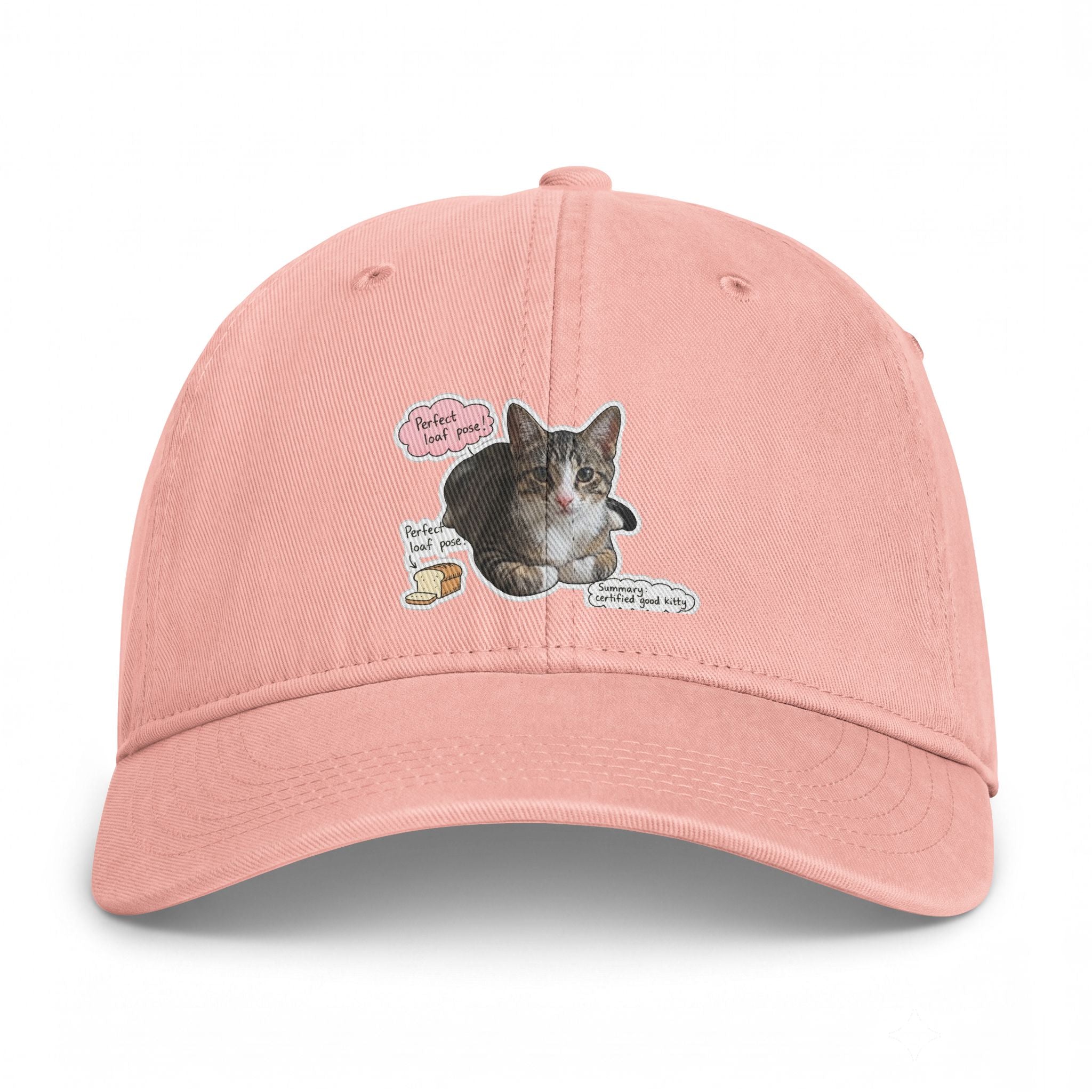 Cat Sticker Patch Cap — "Meow Means Meow" Washed Baseball Hat