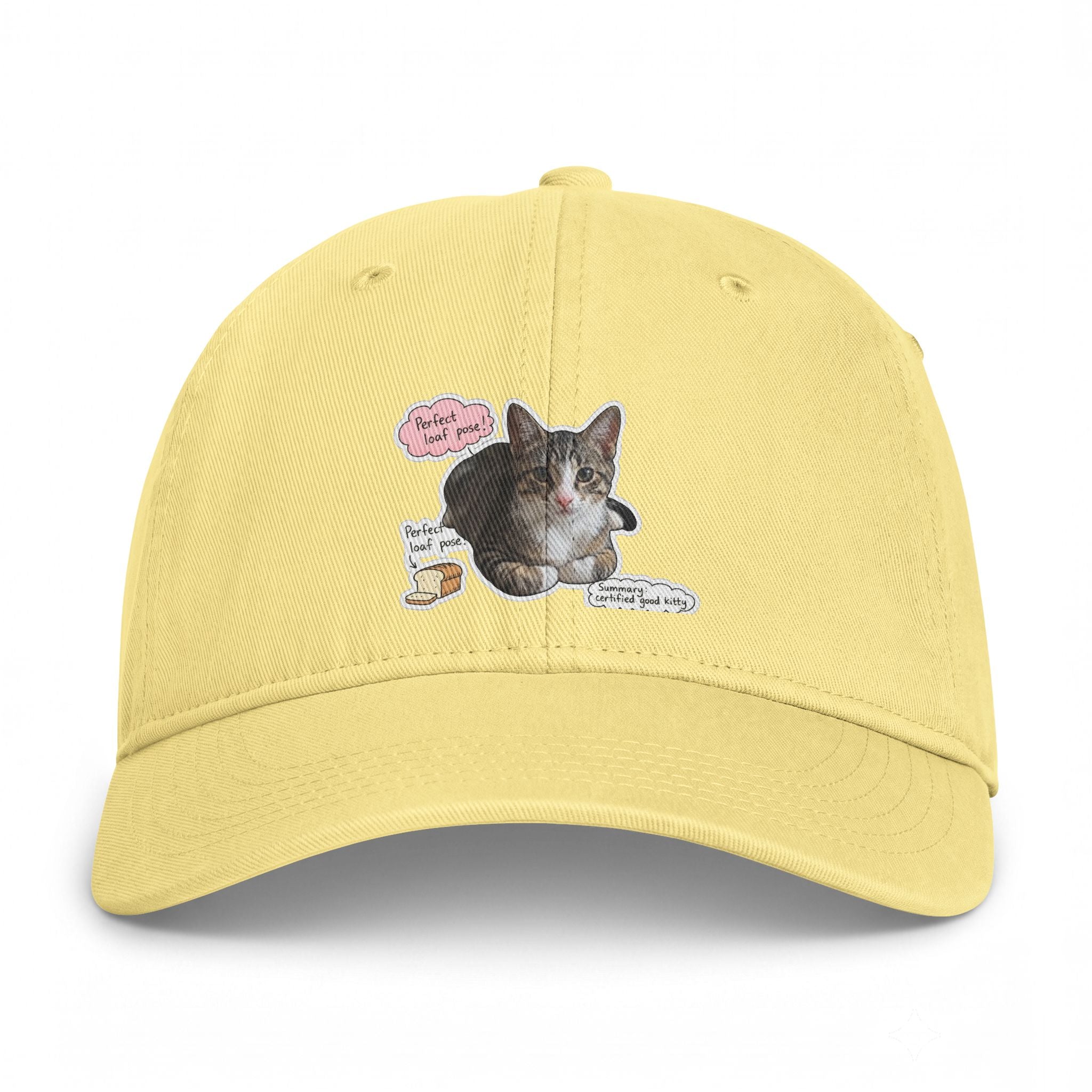 Cat Sticker Patch Cap — "Meow Means Meow" Washed Baseball Hat