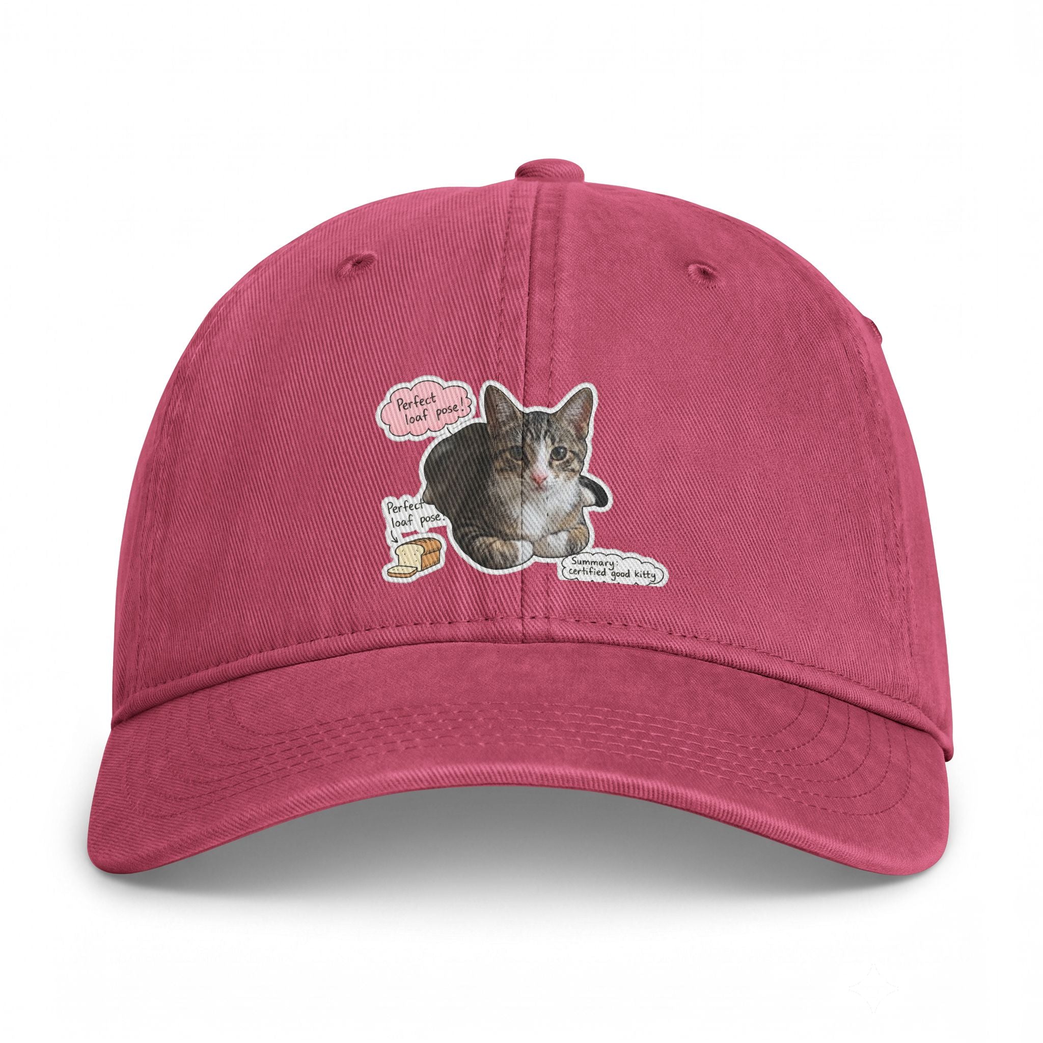 Cat Sticker Patch Cap — "Meow Means Meow" Washed Baseball Hat