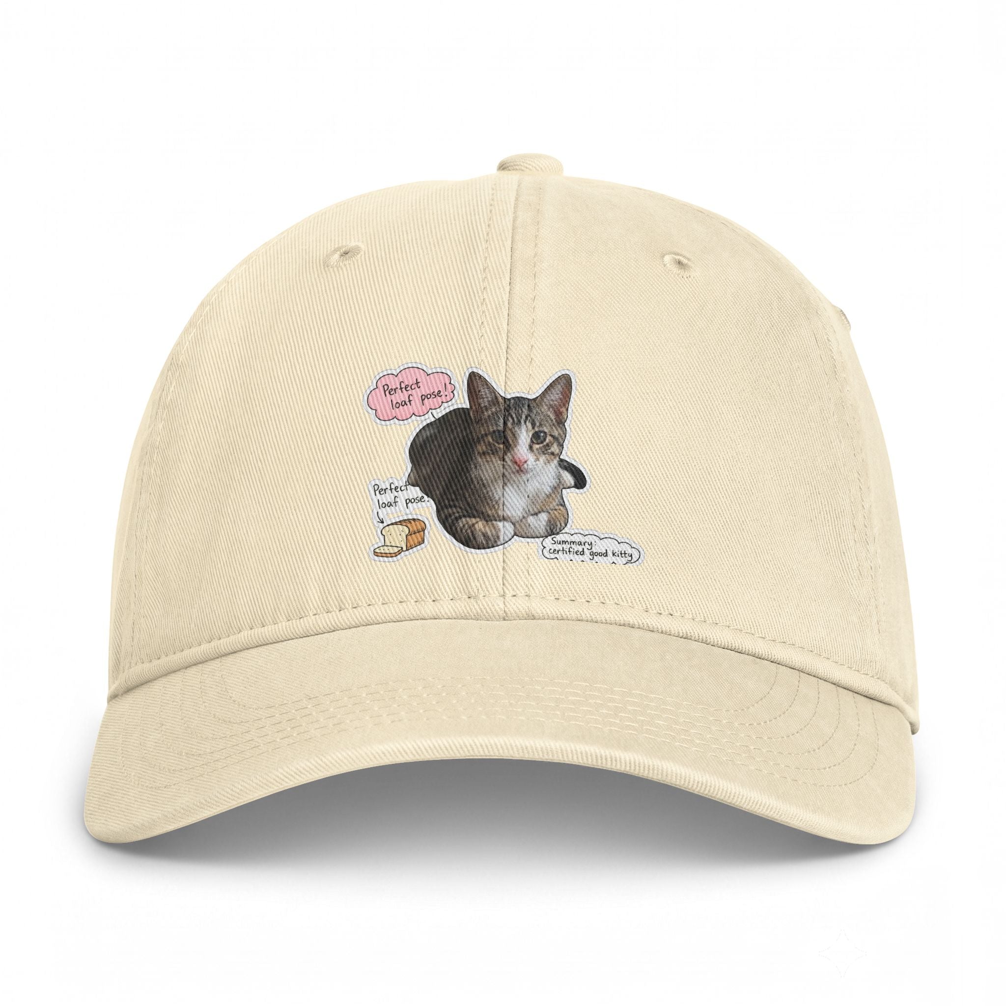 Cat Sticker Patch Cap — "Meow Means Meow" Washed Baseball Hat
