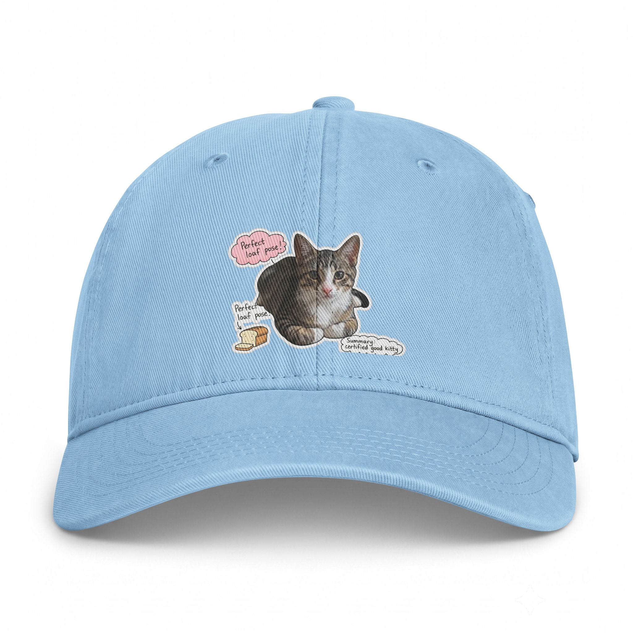 Cat Sticker Patch Cap — "Meow Means Meow" Washed Baseball Hat