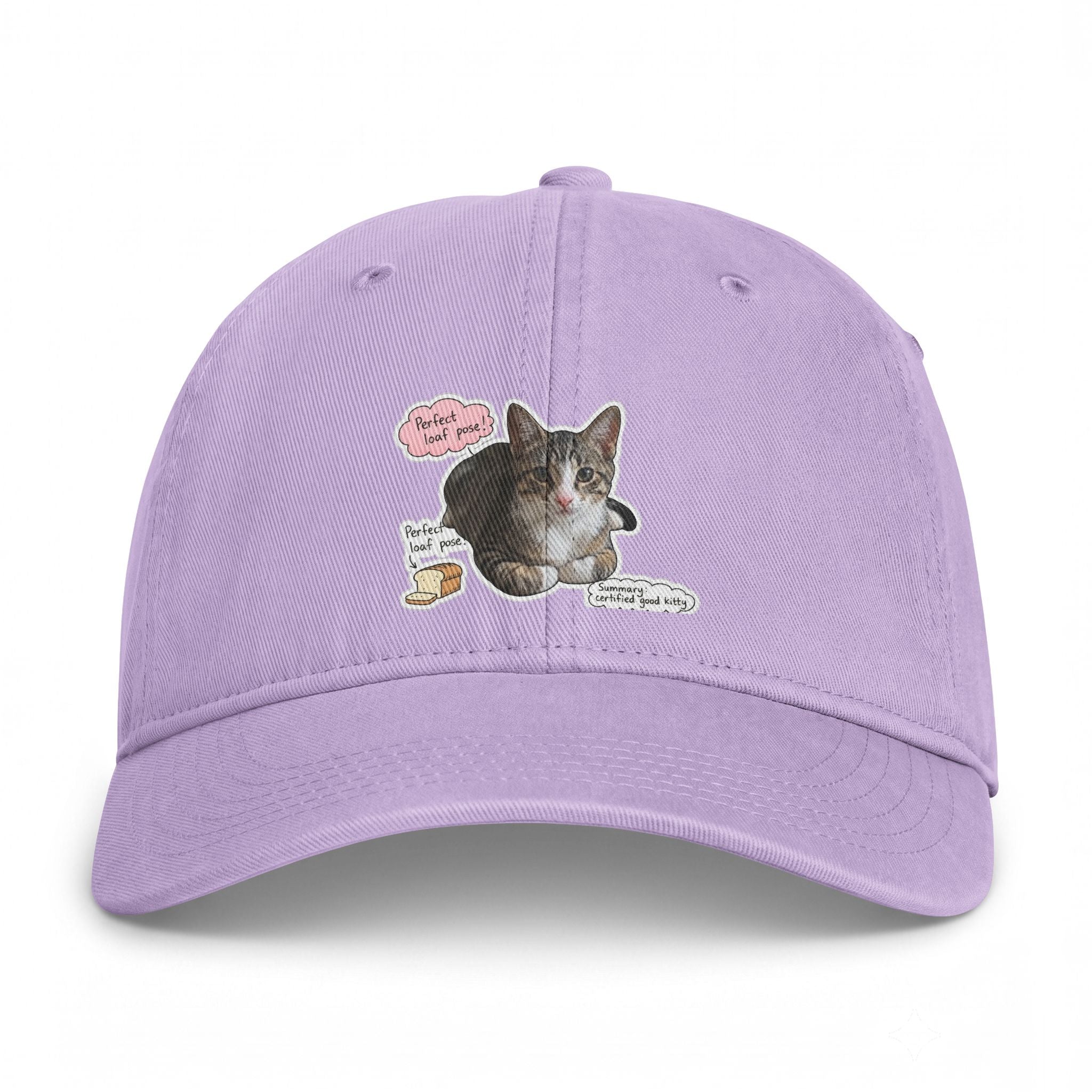 Cat Sticker Patch Cap — "Meow Means Meow" Washed Baseball Hat