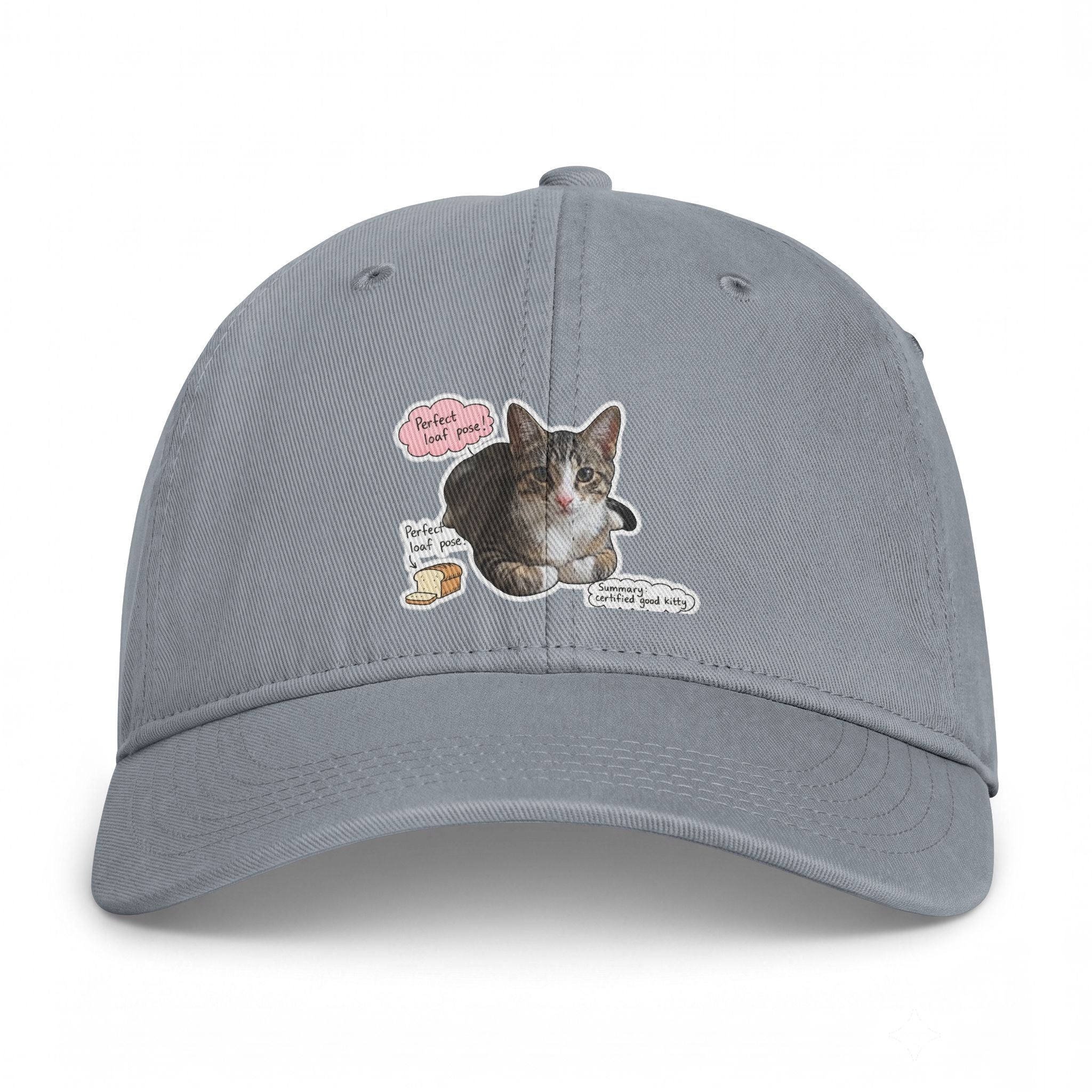 Cat Sticker Patch Cap — "Meow Means Meow" Washed Baseball Hat