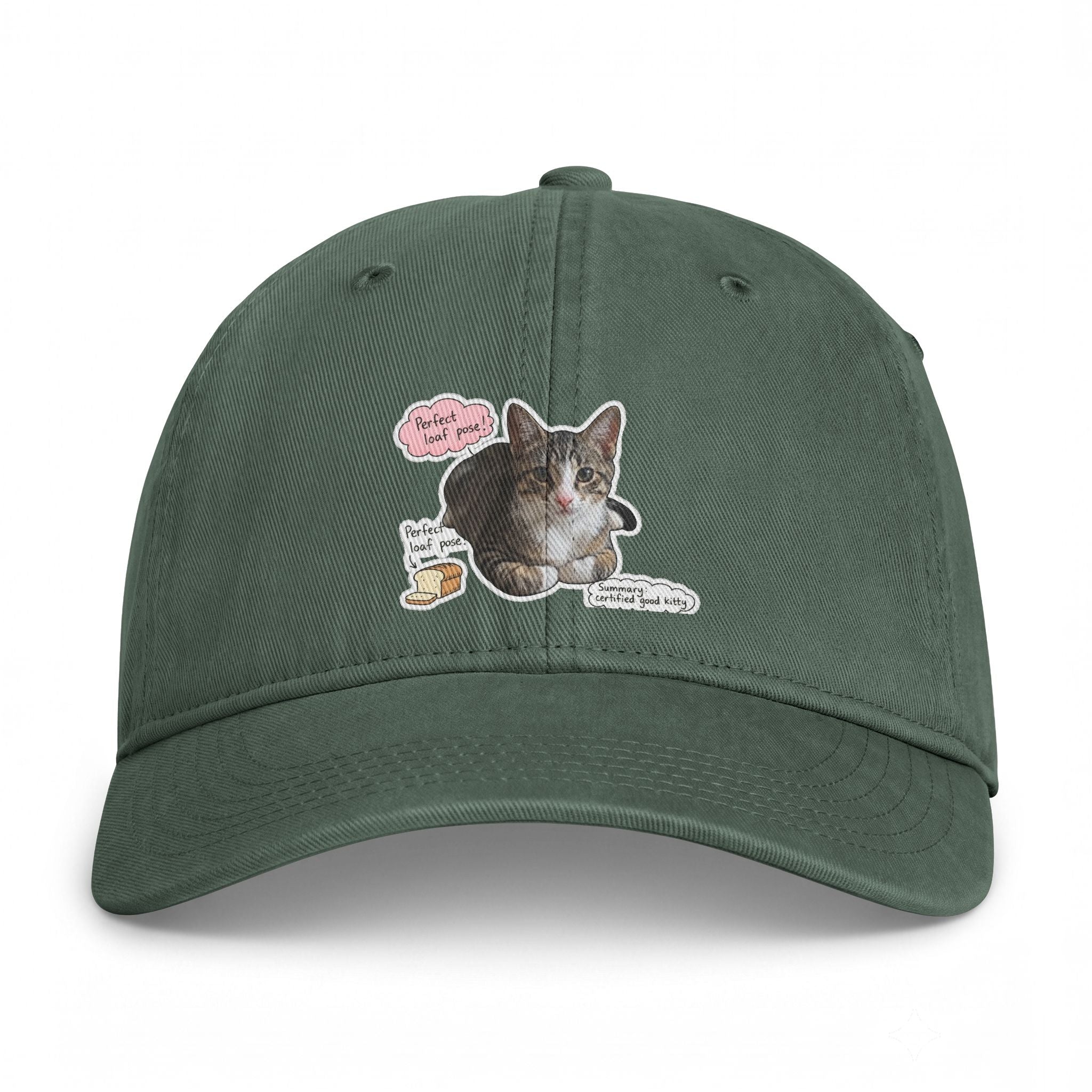 Cat Sticker Patch Cap — "Meow Means Meow" Washed Baseball Hat