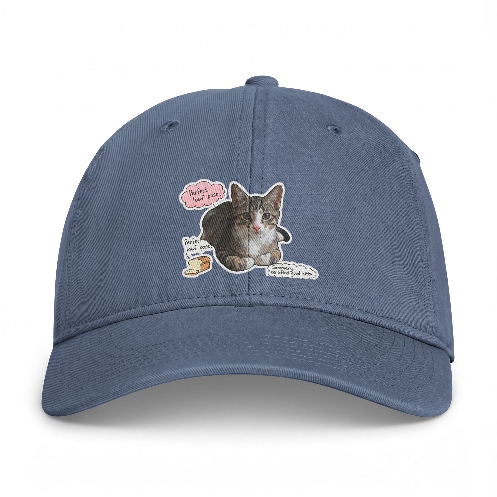 Cat Sticker Patch Cap — "Meow Means Meow" Washed Baseball Hat