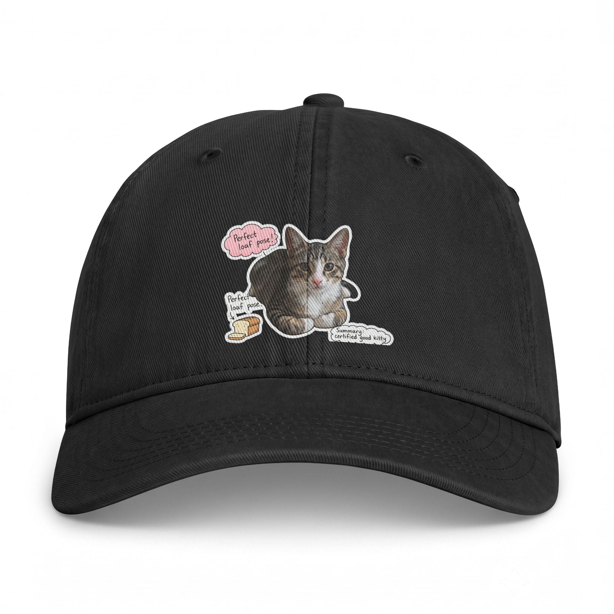 Cat Sticker Patch Cap — "Meow Means Meow" Washed Baseball Hat