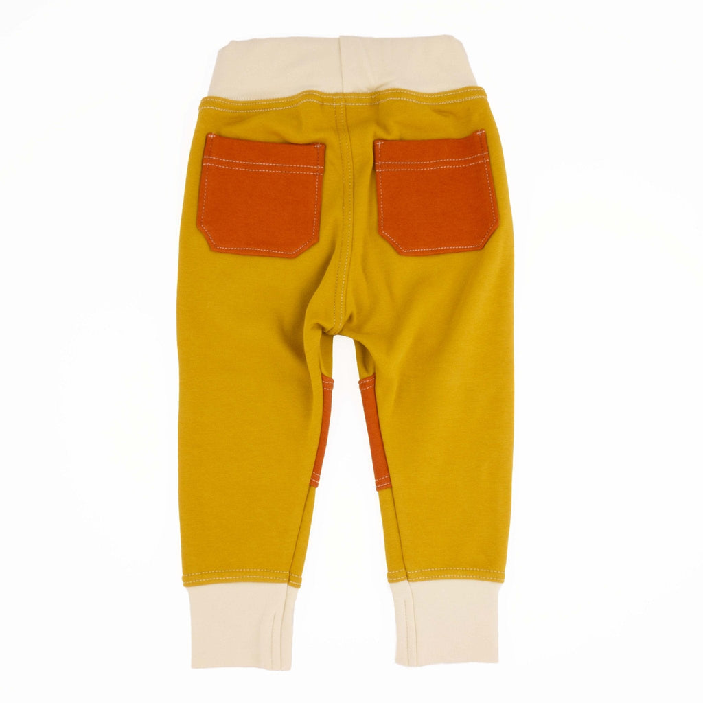 Adult Colorblock Joggers