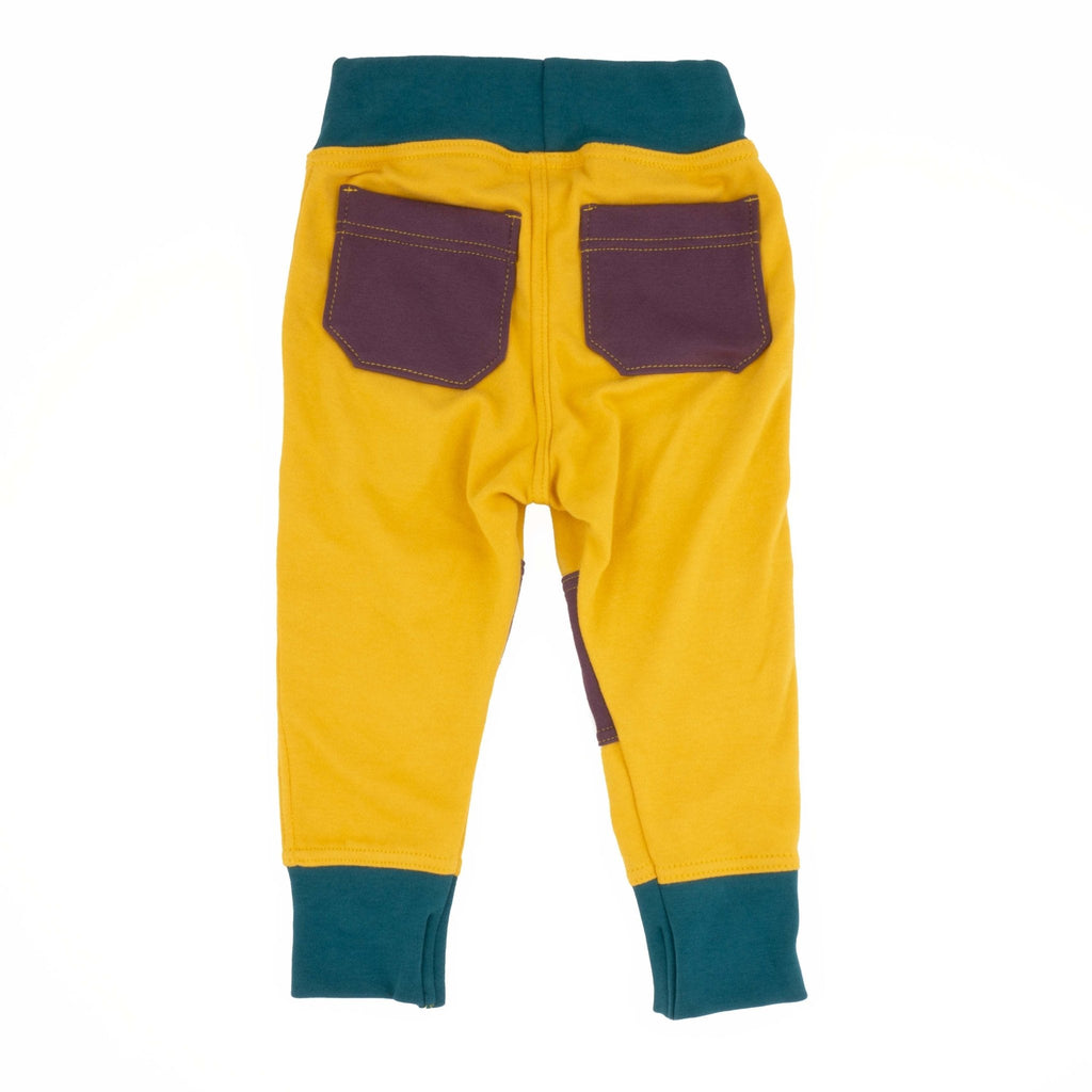 Adult Colorblock Joggers